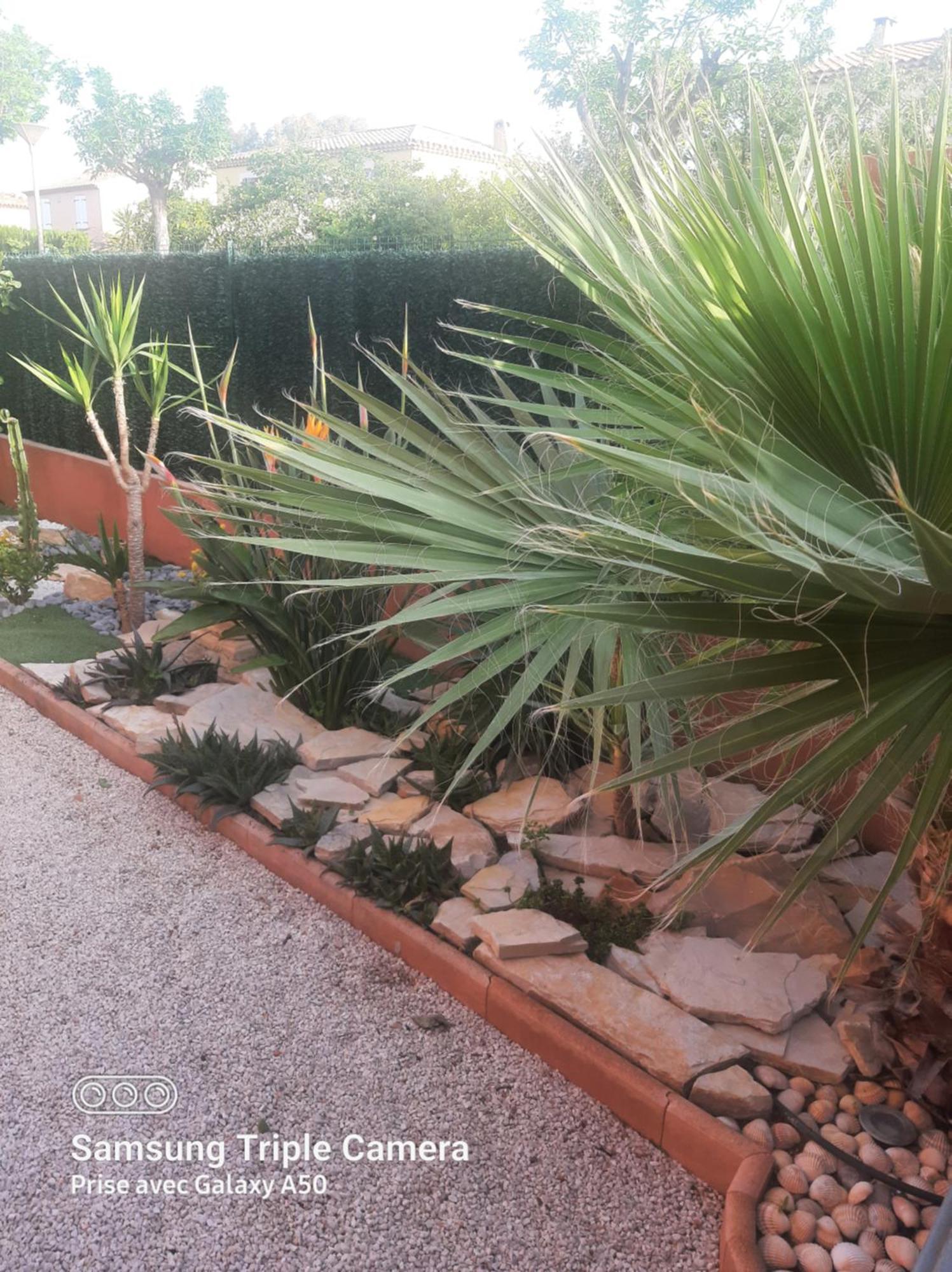 סן-סיר-סור-מר Villa Securisee Pres Des Lecques מראה חיצוני תמונה